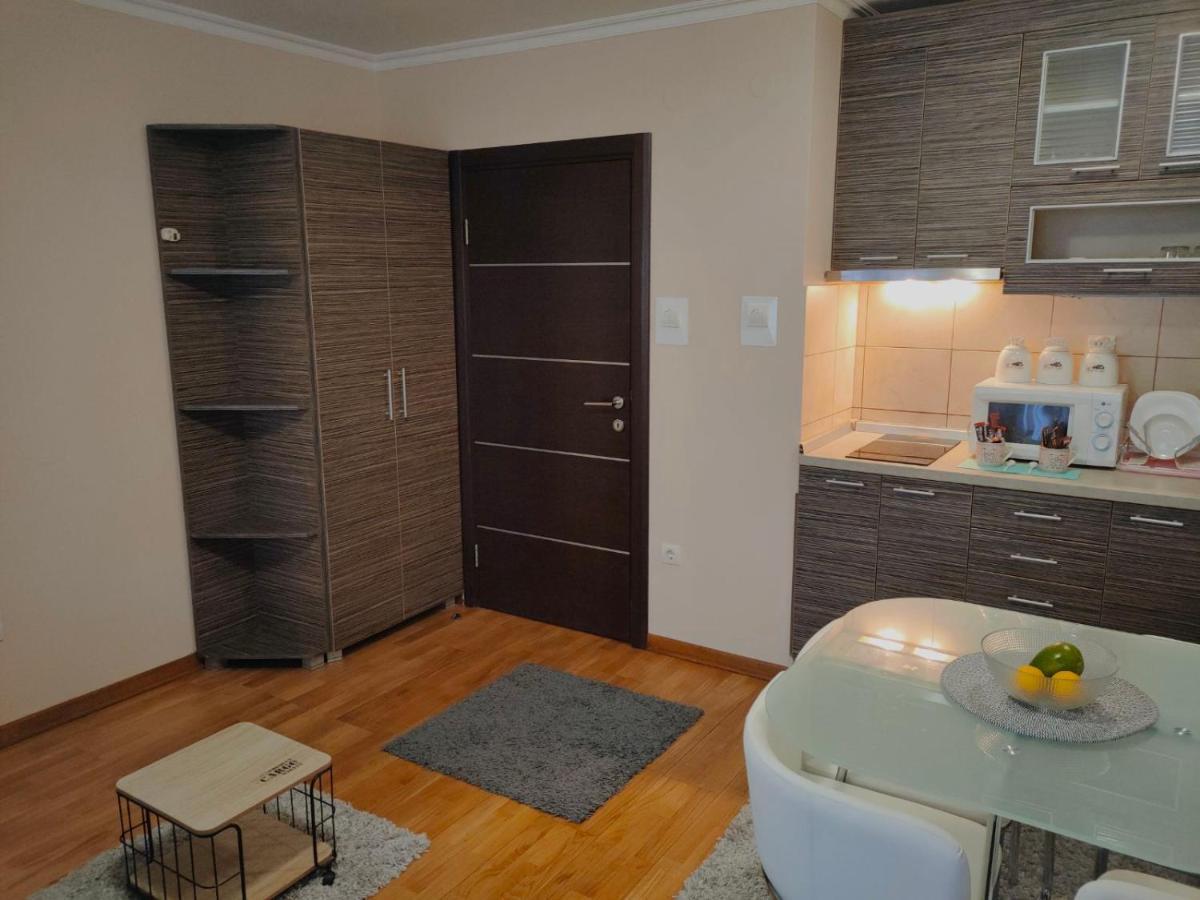 Apartman Jovanovic Vrnjačka Banja Dış mekan fotoğraf